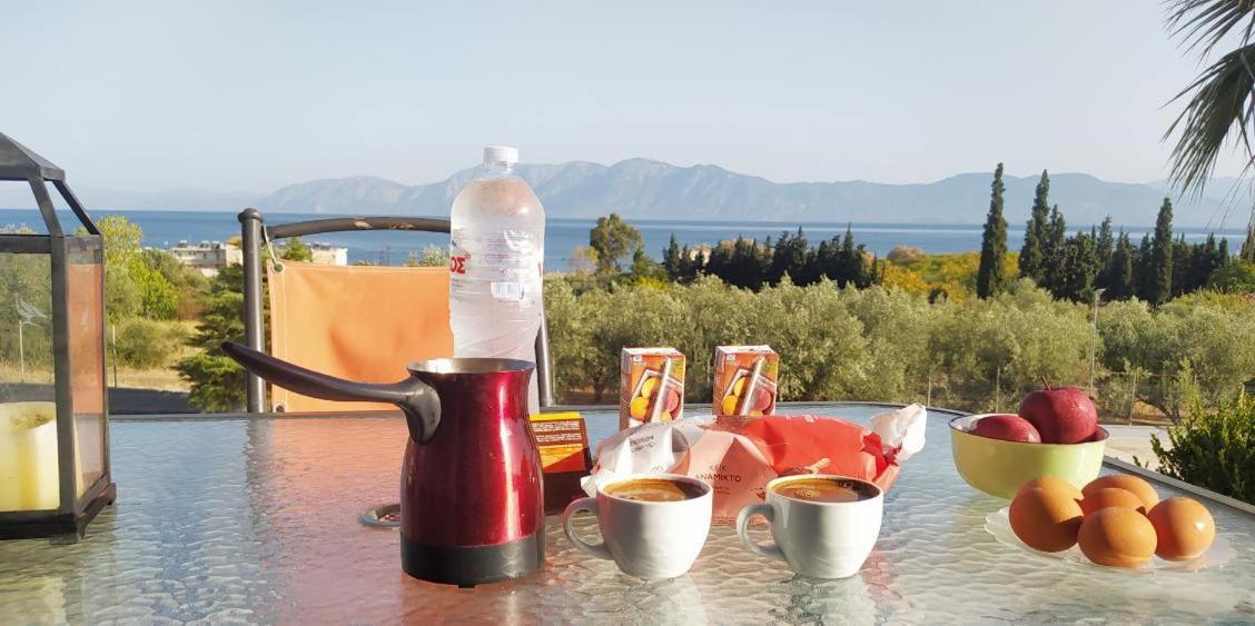 View Διαμερισμα Vila Loukissia Exterior foto